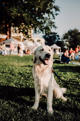 Newport Dog Run photo 1